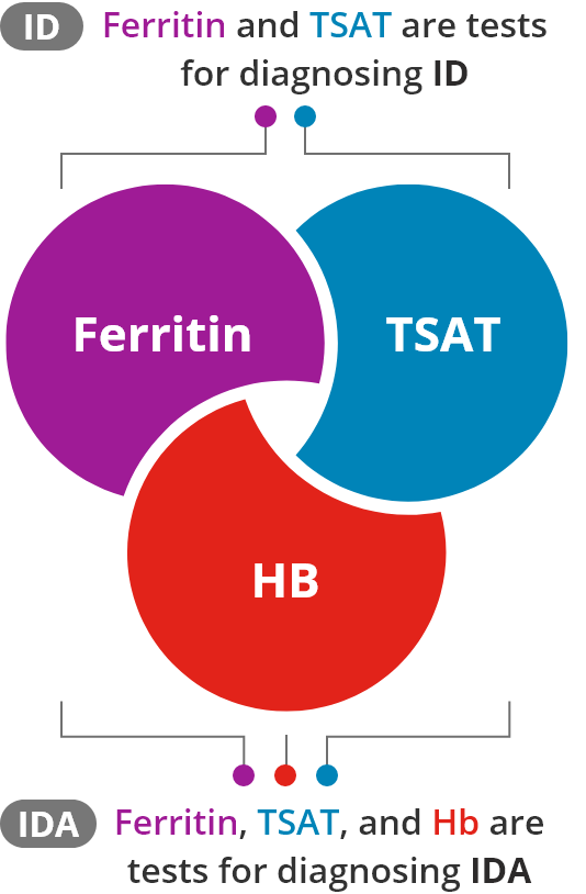 Ferritin and TSAT are tests for diagnosing ID while Ferritin, TSAT, and Hb are tests for diagnosing IDA